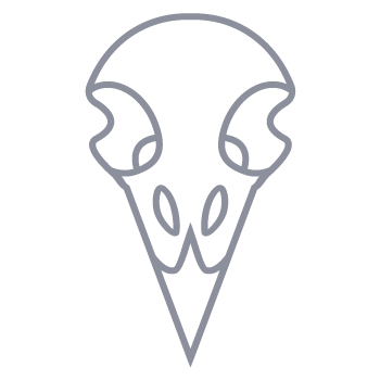 Bird Skull Icon